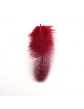 Plumes de pintade rouge x 6